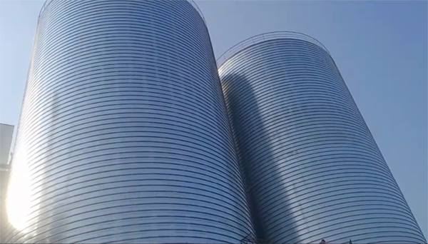 凌河2座混凝土高架卷板仓